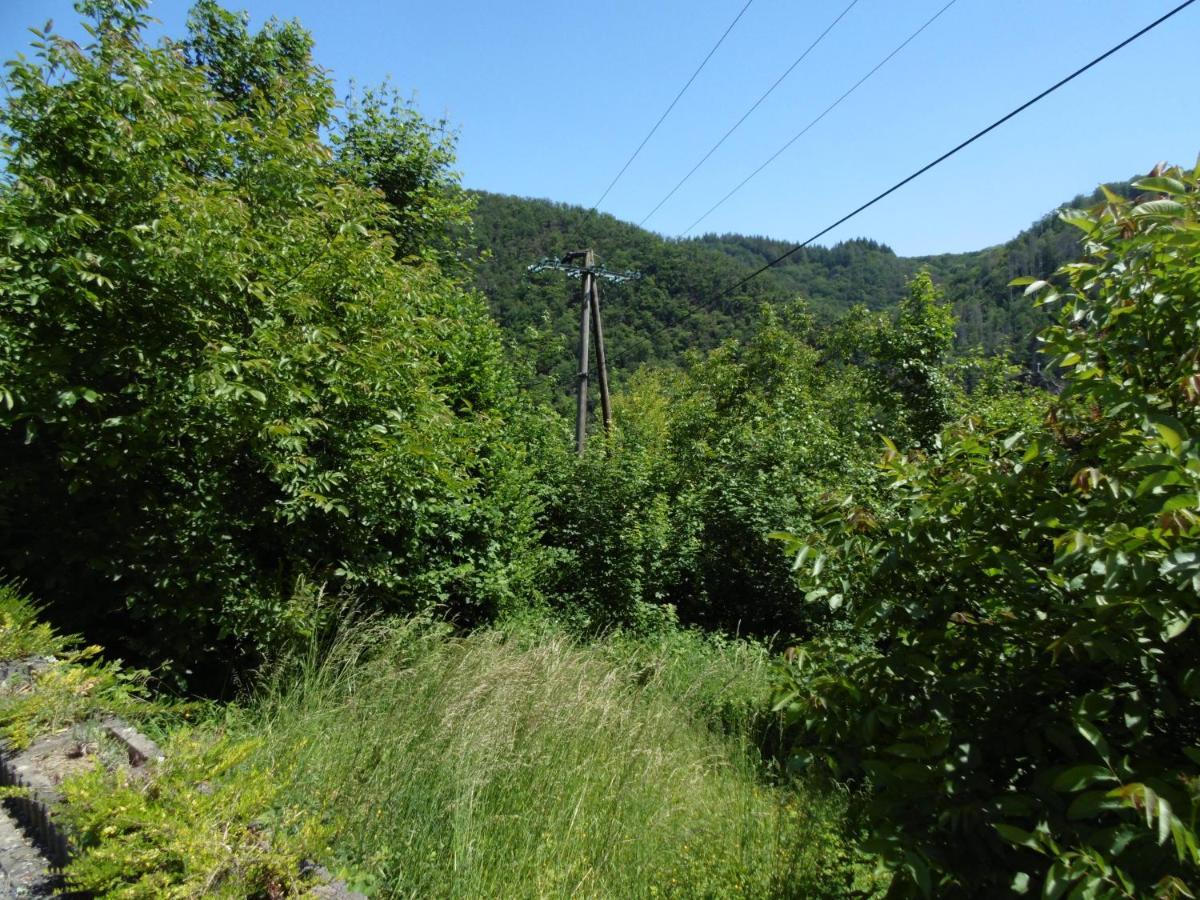 Ferienwohnung Schaefer Waldbreitbach Bagian luar foto