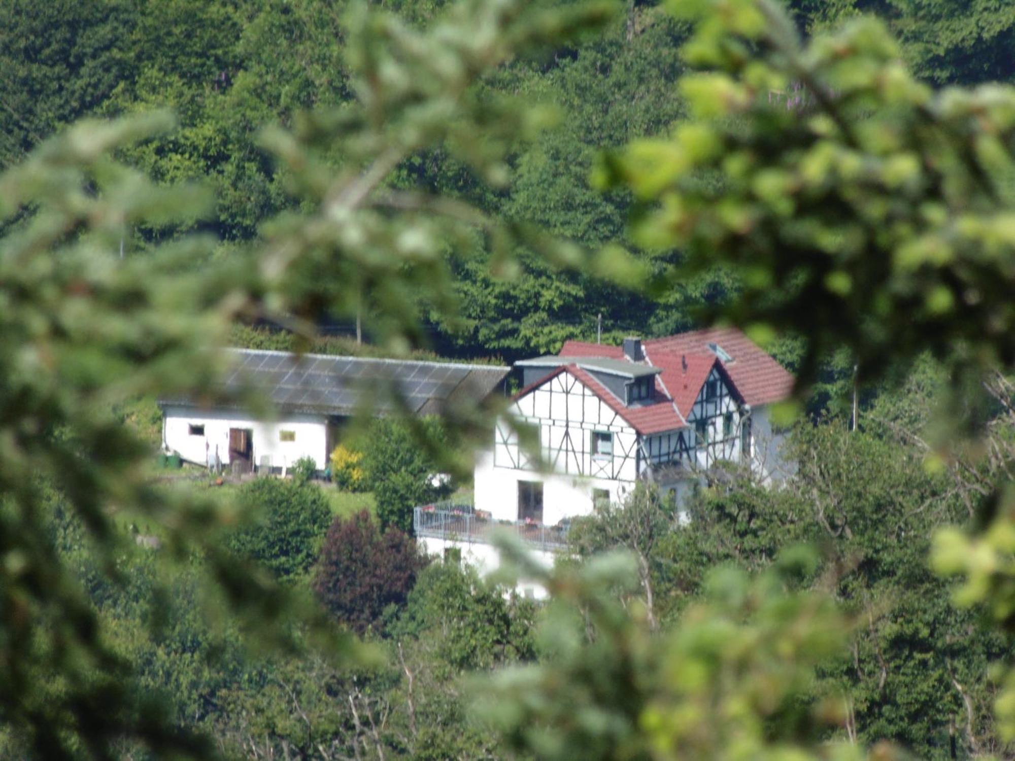 Ferienwohnung Schaefer Waldbreitbach Bagian luar foto